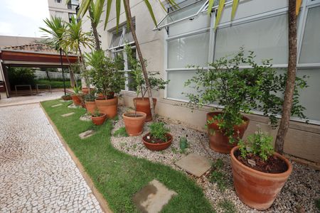 Apartamento à venda com 109m², 3 quartos e 2 vagasÁrea externa / Horta
