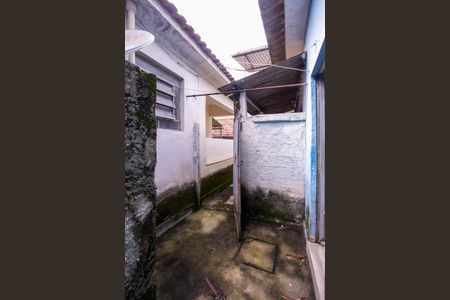 Casa para alugar com 40m², 1 quarto e sem vaga Casa para alugar com 40m², 1 quarto e sem vagaQuintal