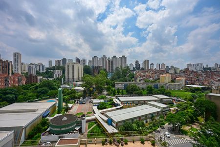 Vista de apartamento para alugar com 2 quartos, 57m² em Paraíso do Morumbi, São Paulo