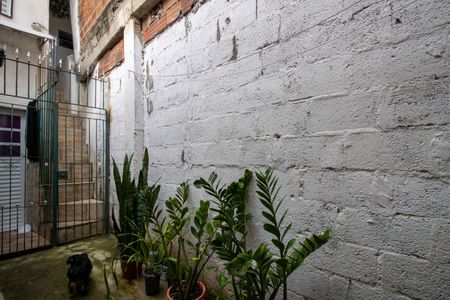 Vista Sala de casa para alugar com 2 quartos, 40m² em Parque Regina, São Paulo