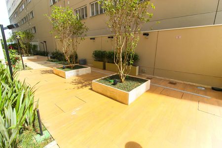 Apartamento para alugar com 35m², 2 quartos e sem vagaÁrea Comum