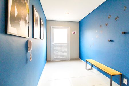 Apartamento para alugar com 34m², 2 quartos e sem vagaPet care