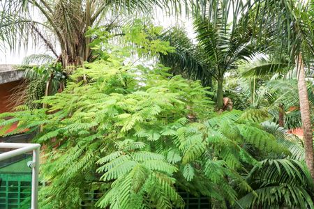 Casa à venda com 320m², 4 quartos e 3 vagasQuarto 1