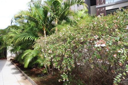 Apartamento para alugar com 36m², 1 quarto e 1 vagaÁrea Comum