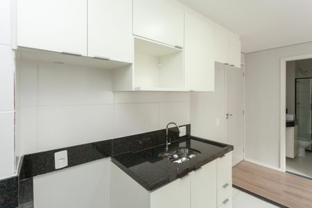 Apartamento para alugar com 33m², 2 quartos e sem vagaCozinha