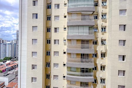 Apartamento para alugar com 59m², 2 quartos e 1 vagaVista da Varanda