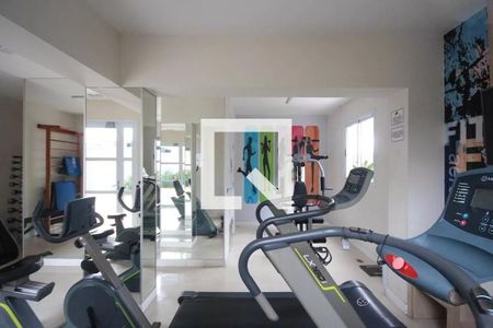 Apartamento para alugar com 67m², 3 quartos e 1 vaga Apartamento para alugar com 67m², 3 quartos e 1 vagaÁrea comum - Academia