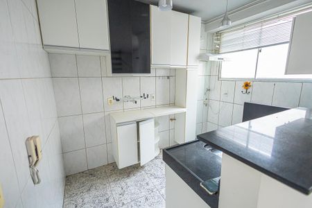 Cozinha de apartamento para alugar com 2 quartos, 100m² em Itapoã, Belo Horizonte