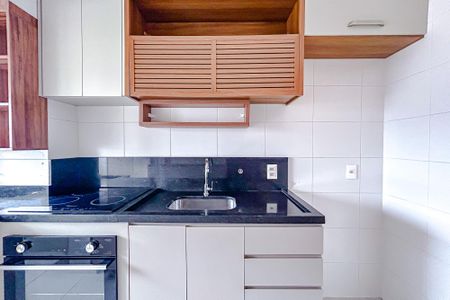 Apartamento para alugar com 50m², 2 quartos e 1 vagaCozinha - Armários