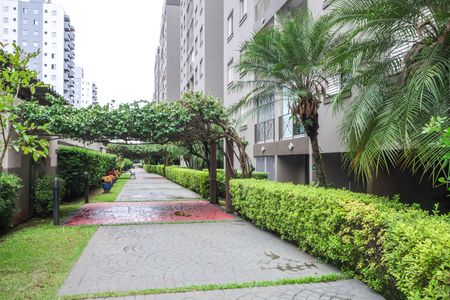 Apartamento à venda com 62m², 3 quartos e 1 vagaÁrea verde