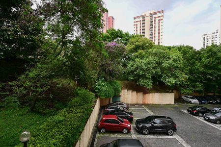 Vista de apartamento para alugar com 3 quartos, 96m² em Vila Sonia, São Paulo