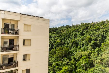 Apartamento para alugar com 80m², 3 quartos e 2 vagasVista