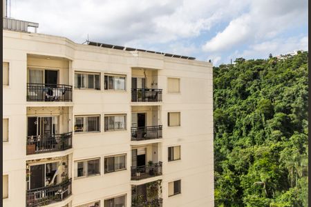 Apartamento para alugar com 80m², 3 quartos e 2 vagasVista da Suíte