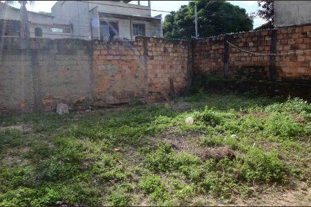 Casa para alugar com 67m², 2 quartos e 4 vagasQuintal