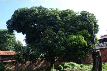 Casa para alugar com 67m², 2 quartos e 4 vagasQuintal