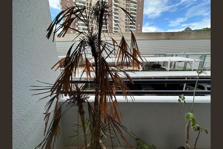 Varanda da Sala de apartamento para alugar com 2 quartos, 59m² em Tamboré, Barueri