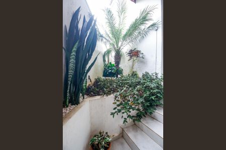 Casa para alugar com 90m², 2 quartos e 2 vagasJardim