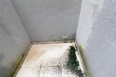 Apartamento para alugar com 42m², 1 quarto e sem vagaQuintal