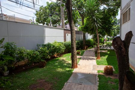 Apartamento para alugar com 82m², 2 quartos e 2 vagas Apartamento para alugar com 82m², 2 quartos e 2 vagasArea comoum - Area Verde