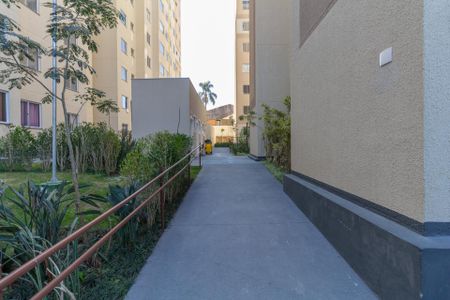 Apartamento para alugar com 45m², 2 quartos e sem vagaÁrea Comum 