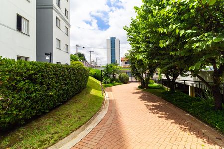 Apartamento para alugar com 55m², 2 quartos e 1 vaga Apartamento para alugar com 55m², 2 quartos e 1 vagaÁrea comum