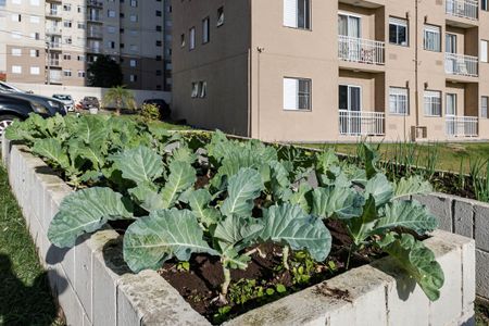 Apartamento para alugar com 49m², 2 quartos e 1 vagaÁrea Comum