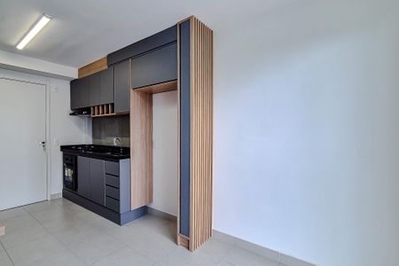 Sala de apartamento para alugar com 2 quartos, 40m² em Várzea da Barra Funda, São Paulo