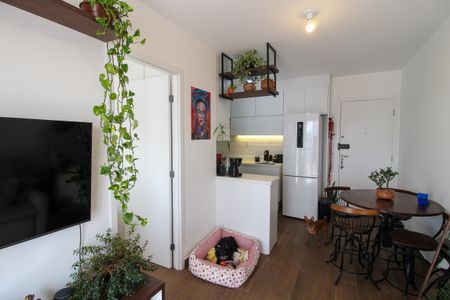 Sala de apartamento para alugar com 1 quarto, 31m² em Vila Sonia, São Paulo