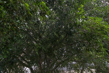 Vista Quarto 1 de apartamento para alugar com 2 quartos, 50m² em Conjunto Residencial José Bonifácio, São Paulo