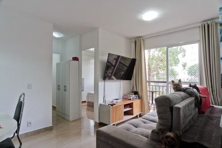 Sala de apartamento para alugar com 2 quartos, 53m² em Jardim Iris, São Paulo