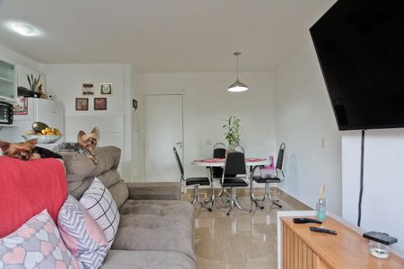 Sala de apartamento para alugar com 2 quartos, 53m² em Jardim Iris, São Paulo