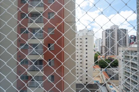 Apartamento para alugar com 65m², 2 quartos e 1 vagaVista da Lavanderia