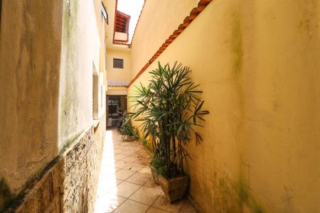 Casa para alugar com 250m², 4 quartos e 2 vagas