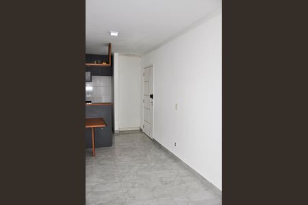 Apartamento para alugar com 49m², 2 quartos e 1 vaga Apartamento para alugar com 49m², 2 quartos e 1 vagaDetalhe - Sala e Sala de Jantar