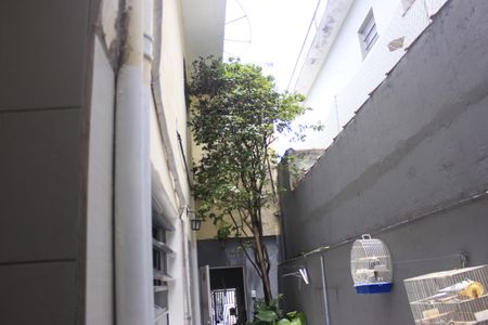 Casa à venda com 182m², 4 quartos e 2 vagasQuintal