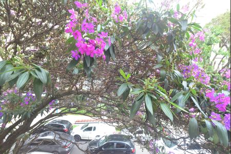 Vista de casa para alugar com 2 quartos, 75m² em Pompeia, São Paulo