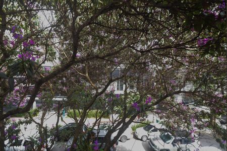 Casa para alugar com 75m², 2 quartos e sem vagaVista