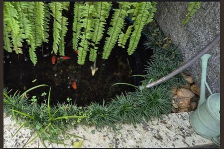 Foto 10 de casa à venda com 2 quartos, 180m² em Imirim, São Paulo