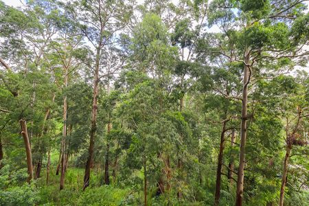 Apartamento para alugar com 45m², 2 quartos e sem vagaVista do Quarto 1