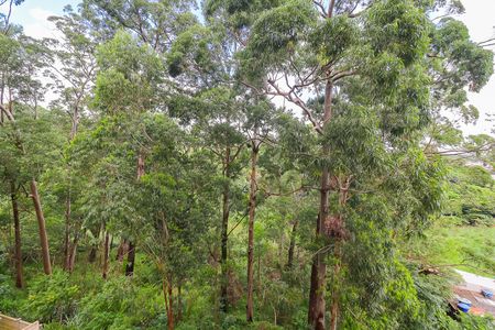 Apartamento para alugar com 45m², 2 quartos e sem vagaCozinha e Área de Serviço