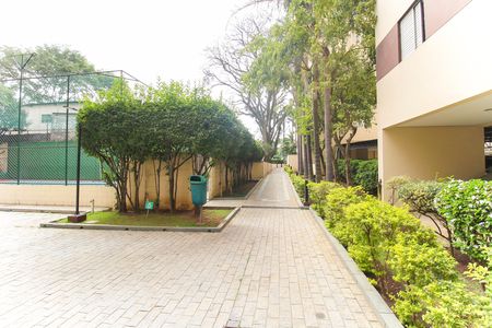 Apartamento para alugar com 53m², 2 quartos e 1 vaga Apartamento para alugar com 53m², 2 quartos e 1 vagaÁrea comum