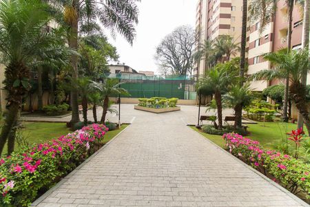 Apartamento para alugar com 53m², 2 quartos e 1 vaga Apartamento para alugar com 53m², 2 quartos e 1 vagaÁrea comum