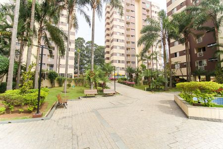 Apartamento para alugar com 53m², 2 quartos e 1 vaga Apartamento para alugar com 53m², 2 quartos e 1 vagaÁrea comum