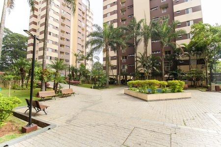 Apartamento para alugar com 53m², 2 quartos e 1 vaga Apartamento para alugar com 53m², 2 quartos e 1 vagaÁrea comum