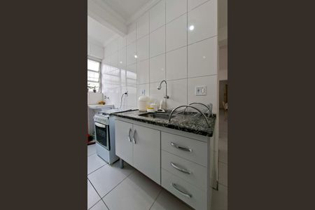 Apartamento para alugar com 45m², 1 quarto e sem vagaCozinha 