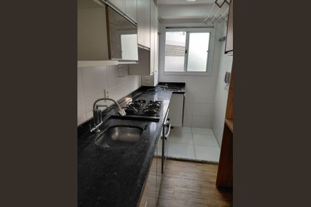 Cozinha de apartamento para alugar com 2 quartos, 40m² em Vila Silvia, São Paulo