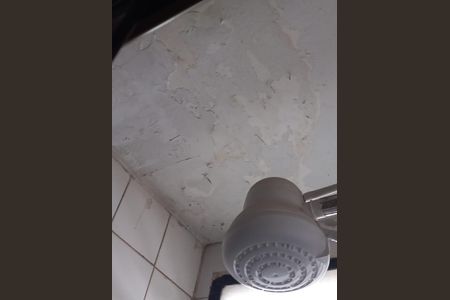 Banheiro de apartamento para alugar com 2 quartos, 51m² em Brás, São Paulo