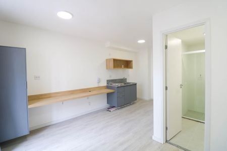 Studio de kitnet/studio para alugar com 1 quarto, 25m² em Jardim das Acacias, São Paulo