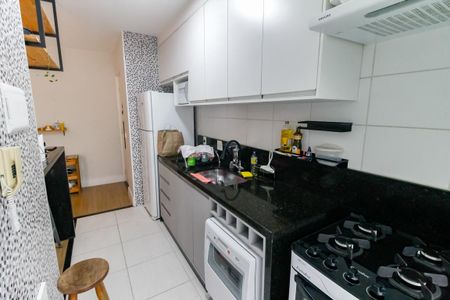 Apartamento para alugar com 55m², 2 quartos e 1 vagaCozinha - Armários