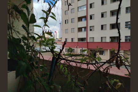 Apartamento para alugar com 63m², 3 quartos e 1 vagaVaranda